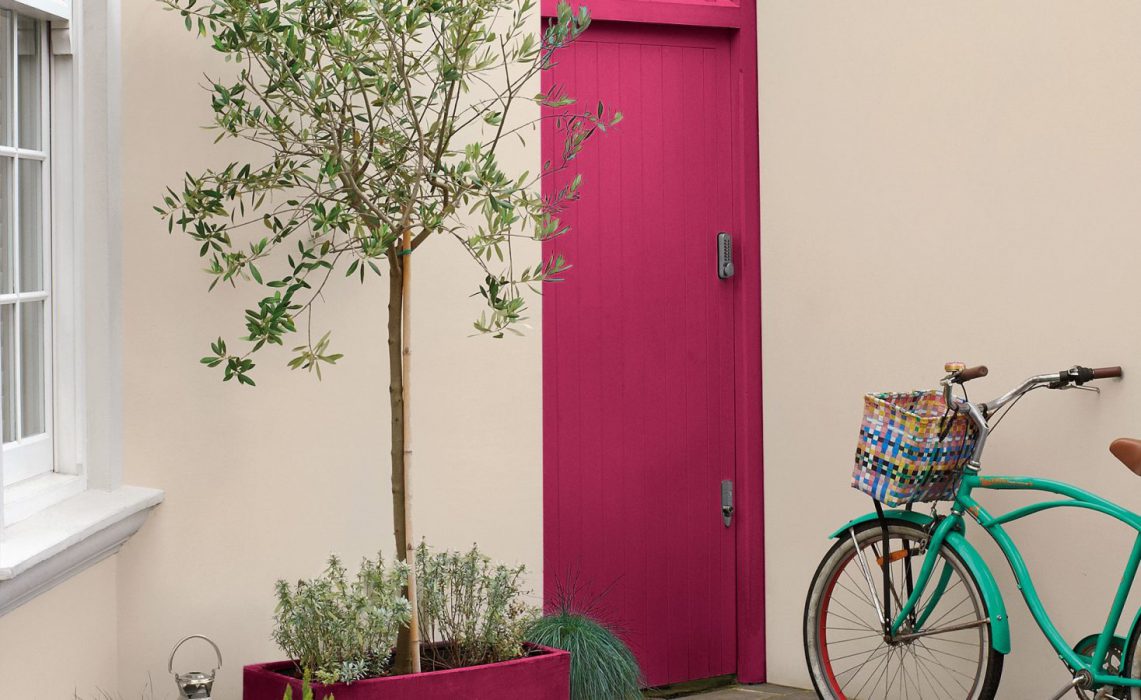 Dulux exterior shop